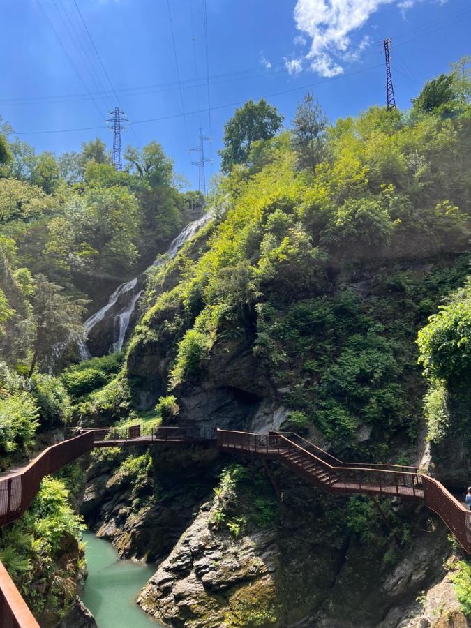 Lake Como View Ulivo 18 Acquaseria Dış mekan fotoğraf